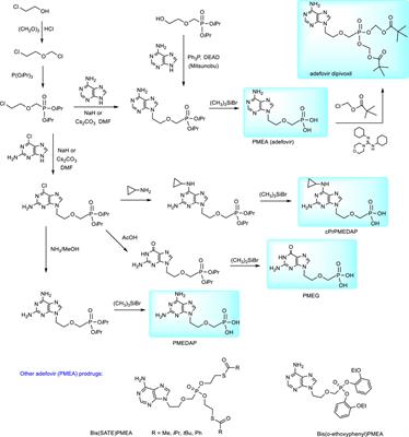 Phosphonates and Phosphonate <mark class="highlighted">Prodrugs</mark> in Medicinal Chemistry: Past Successes and Future Prospects